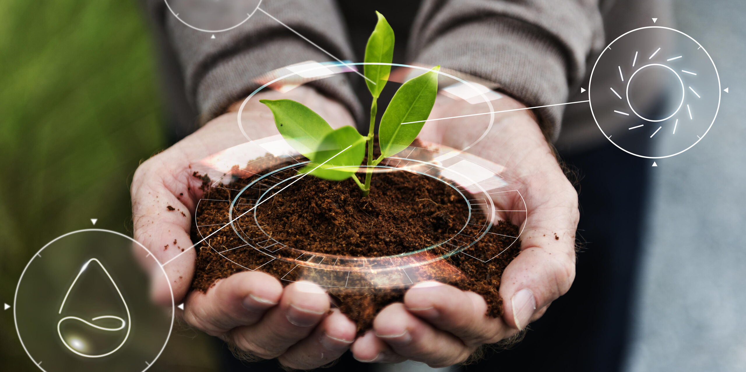 Agricoltura sostenibile: cos'è e come promuoverla