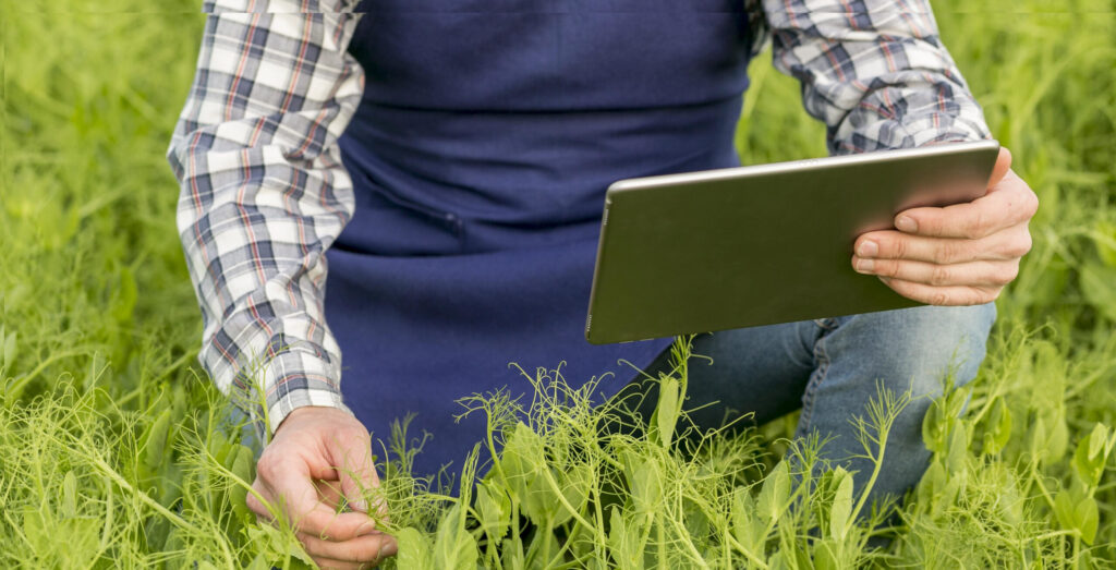 Agricoltura 4.0 e smart agrifood