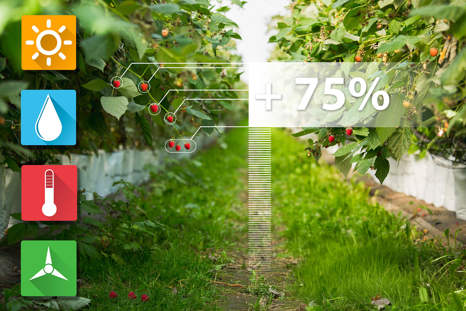 cloud agrifood agricoltura argo logica
