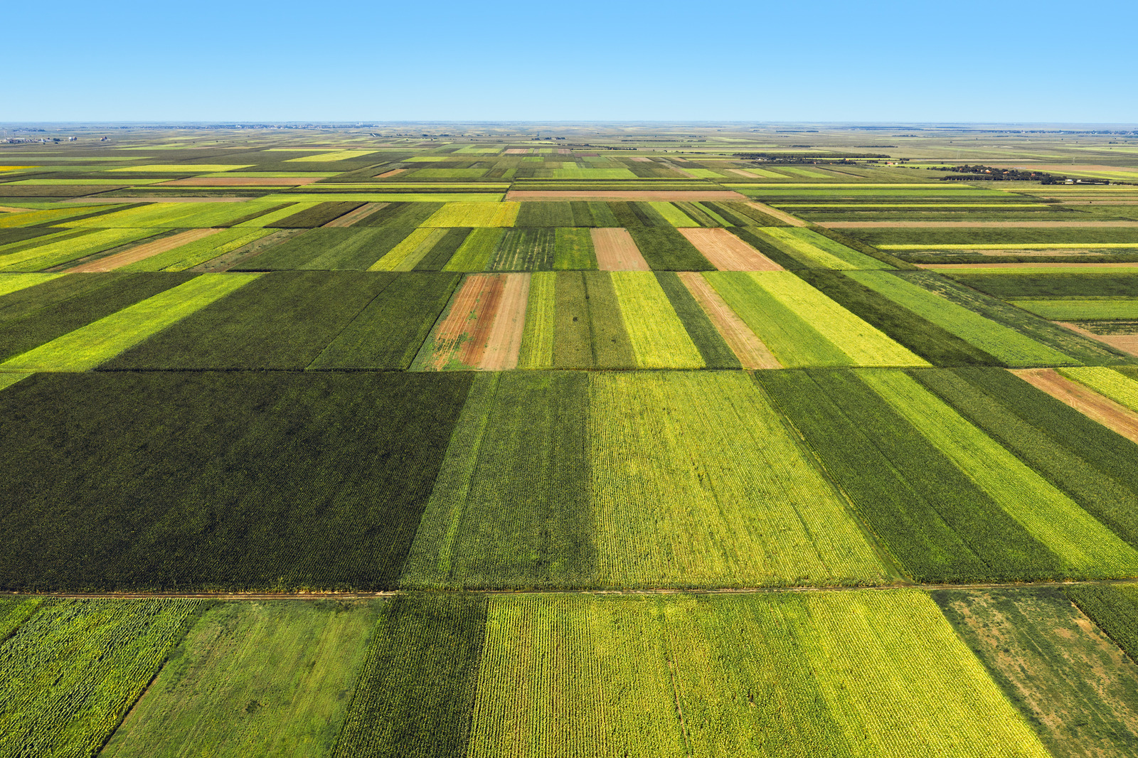 Agricoltura rigenerativa - Pratiche per migliorare la salute del suolo - Argo Logica - ArgoX3 Agri